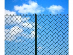 Vignette n°3