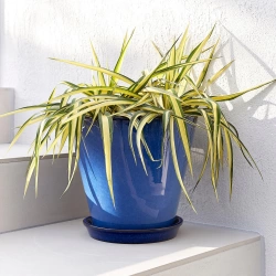 Pot à plante terre cuite émaillée Kinfolk bleu, Diam.29.5 cm