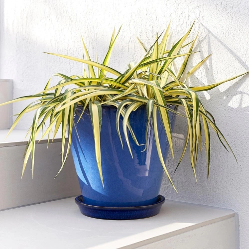 Pot à plante terre cuite émaillée Kinfolk bleu, Diam.29.5 cm