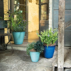 Vignette n°2