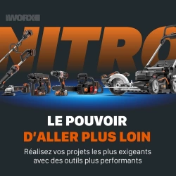 Vignette n°2